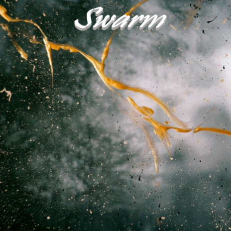 Swarm | Boomplay Music