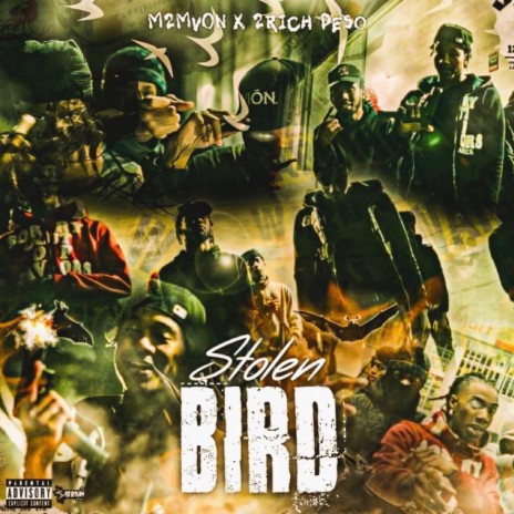 Stolen Bird ft. 2Rich Peso | Boomplay Music
