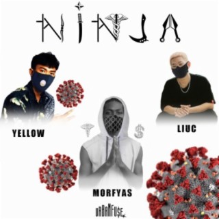 Ninja