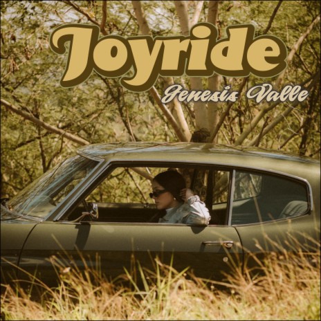 JOYRIDE | Boomplay Music