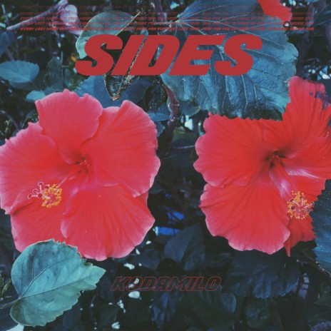 Sides