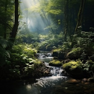 Stream Meditation: Tranquil Water Sounds for Mindfulness