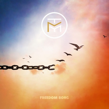 Freedom Song | Boomplay Music