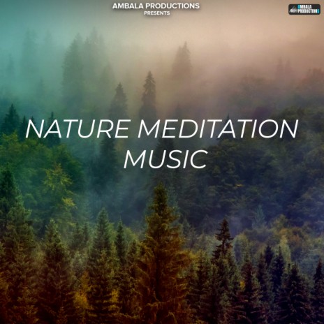 Nature Meditation Music | Boomplay Music