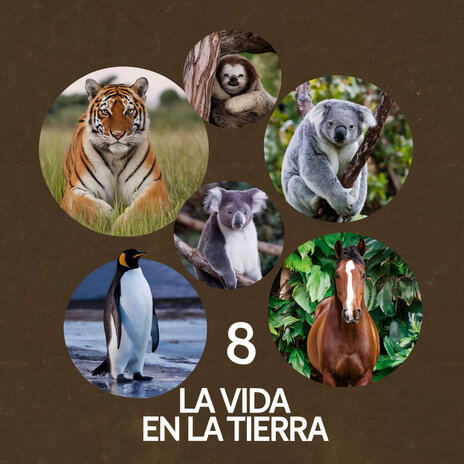 La Vida en la Tierra 8 | Boomplay Music