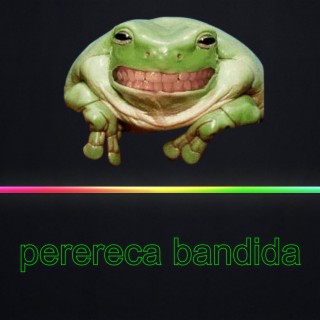 Perereca Bandida