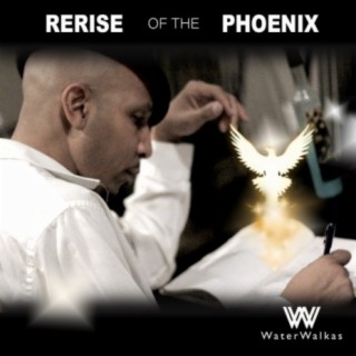Rerise of the Phoenix