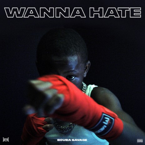 Wanna Hate | Boomplay Music
