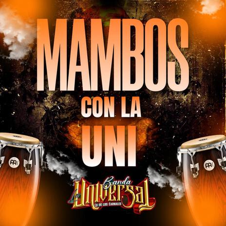 Pop Mambos con la Uni | Boomplay Music