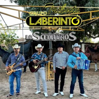 Tributo a Laberinto