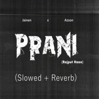 Prani (Rajput Haan) (Slowed + Reverb)