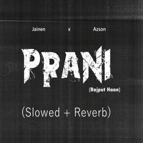 Prani (Rajput Haan) (Slowed + Reverb) ft. Azson