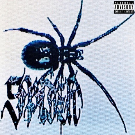 SPIDER | Boomplay Music