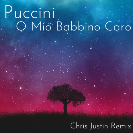 Puccini O Mio Babbino Caro (EDM Remix) | Boomplay Music