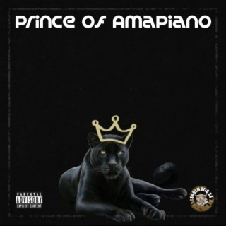 PRINCE OF AMAPIANO