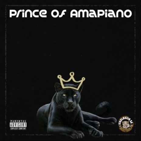 PRINCE OF AMAPIANO | Boomplay Music