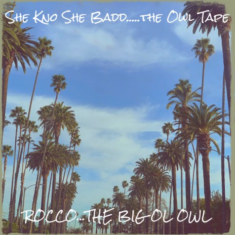 She Kno She Badd.....the Owl Tape | Boomplay Music