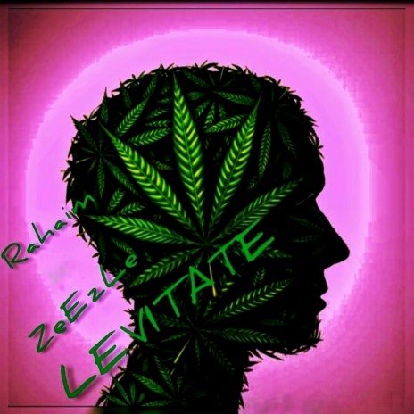 Levitate (feat. Zeezle)
