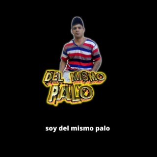 soy del mismo palo