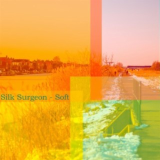 Silk Surgeon