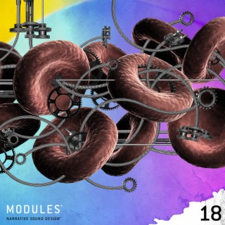 Modules 18