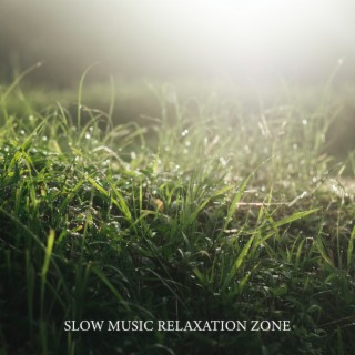 Slow Music Relaxation Zone: Find Peace and Inner Calm