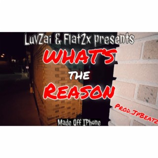 WHAT'S THE REASON