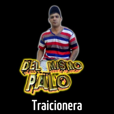 Traicionera | Boomplay Music