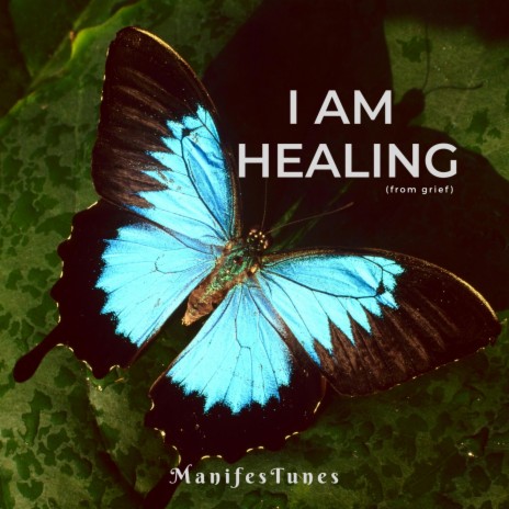 I Am Healing (from grief) | Boomplay Music