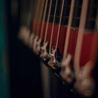 Guitar Strings