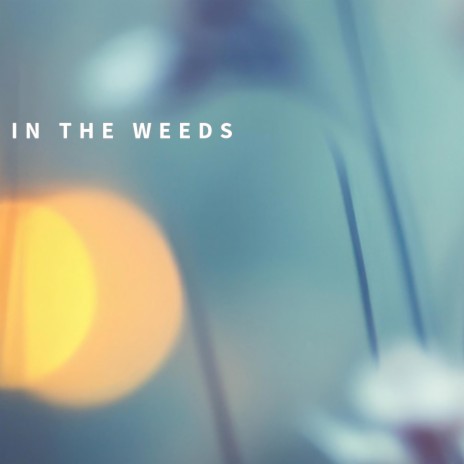 In The Weeds | Boomplay Music