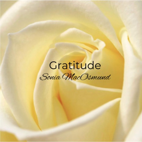 Gratitute | Boomplay Music