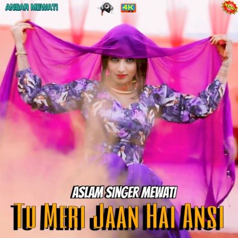 Tu Meri Jaan Hai Ansi | Boomplay Music