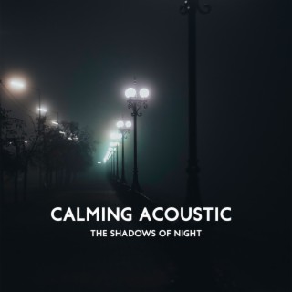 Calming Acoustic: The Shadows of Night, Candlelight Soft Jazz, Feel Romantic Jazz