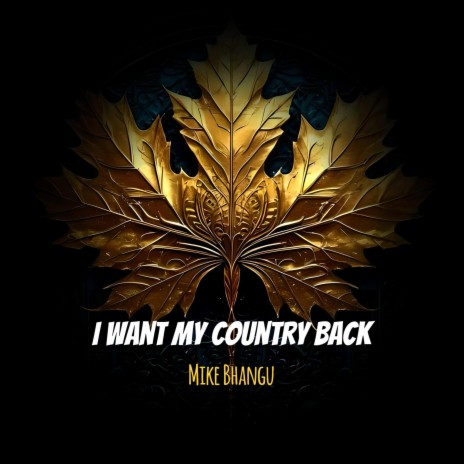 I Want My Country Back | Boomplay Music