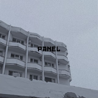 Panel