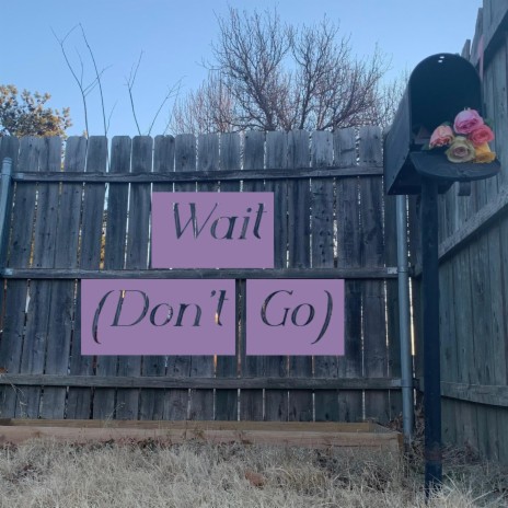 Wait (Don't Go)