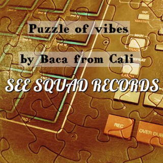 Puzzle of vibes