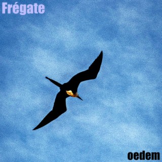 frégate