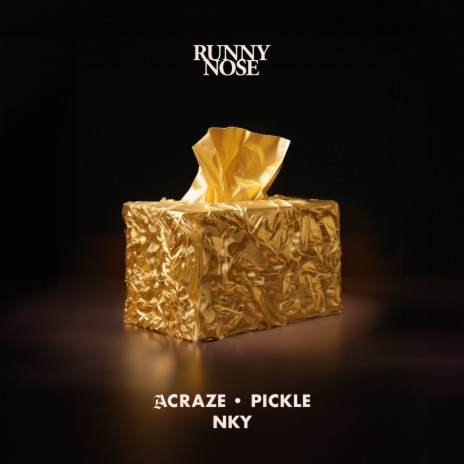 Runny Nose ft. Pickle & NKY | Boomplay Music