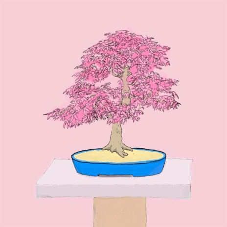 Bonsai | Boomplay Music