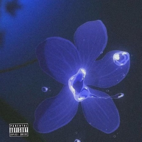 Violets | Boomplay Music