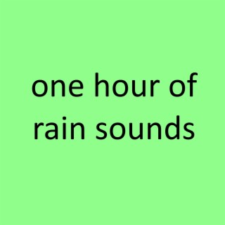 One Hour of Rain Sounds