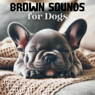 Brown Sounds for Dogs, 1 Hour of Calm (Dark Screen)