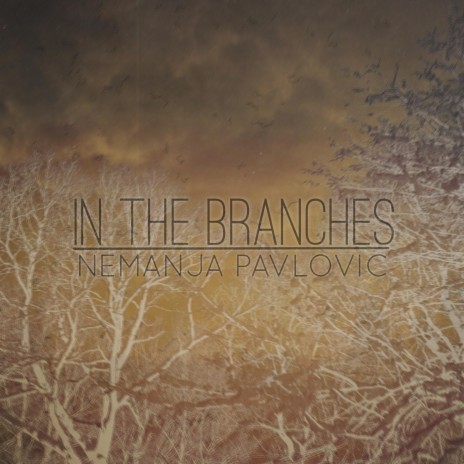 In The Branches | Boomplay Music