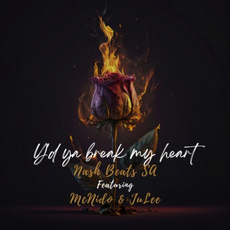 Y'd Ya Break My Heart (feat. McNido) (Radio Edit)
