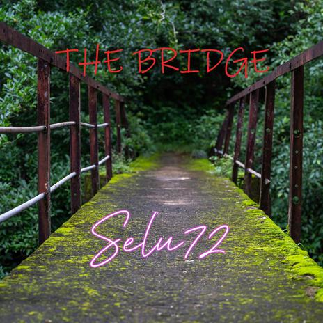 The bridge