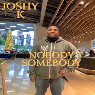 Nobody Somebody (Acoustic) lyrics | Boomplay Music
