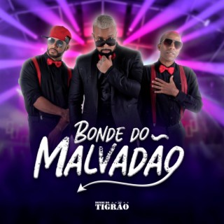 Bonde do Tigrão