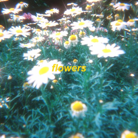 flowers - lofi version ft. azayaka | Boomplay Music